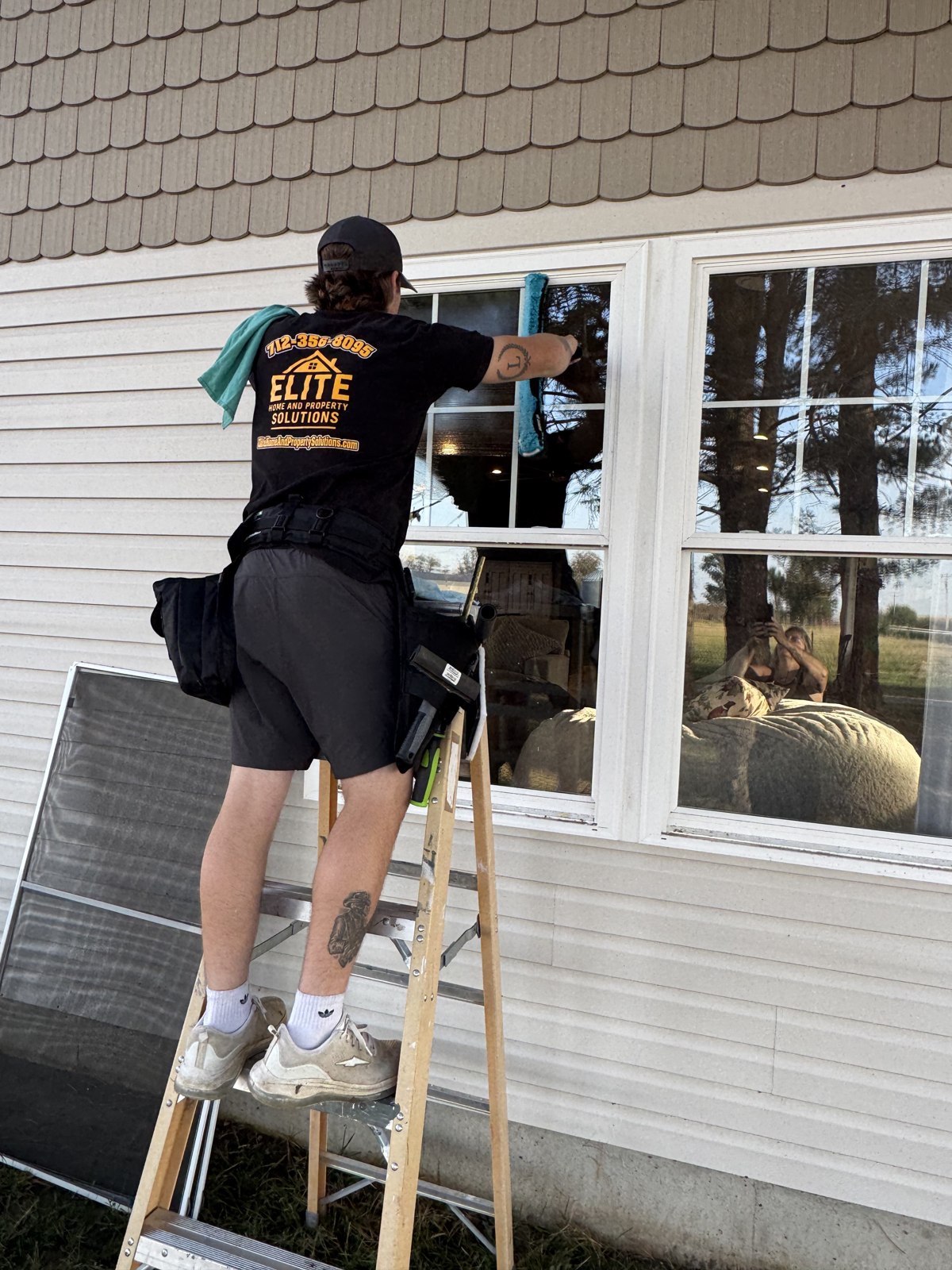 Window cleaning by Elite